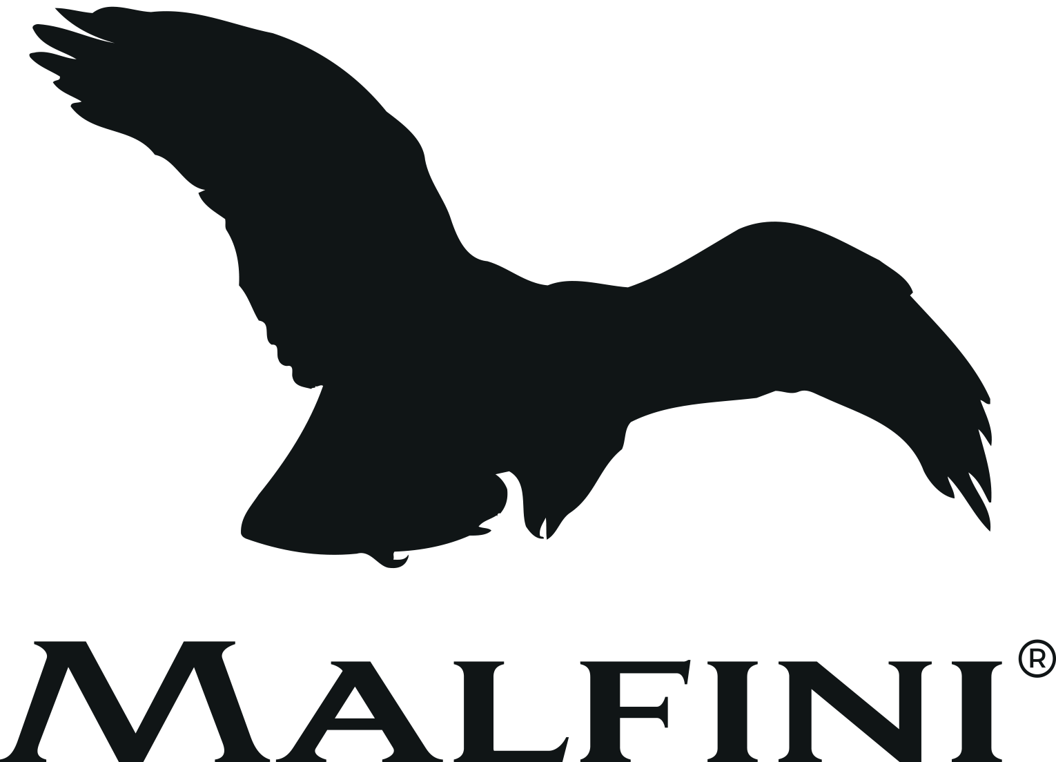 Logo MALFINI